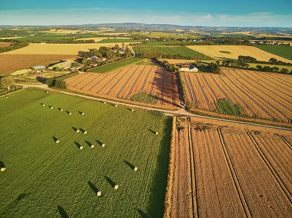 photo aerienne de champs